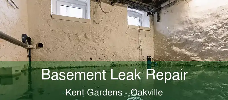  Basement Leak Repair Kent Gardens - Oakville