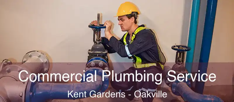  Commercial Plumbing Service Kent Gardens - Oakville