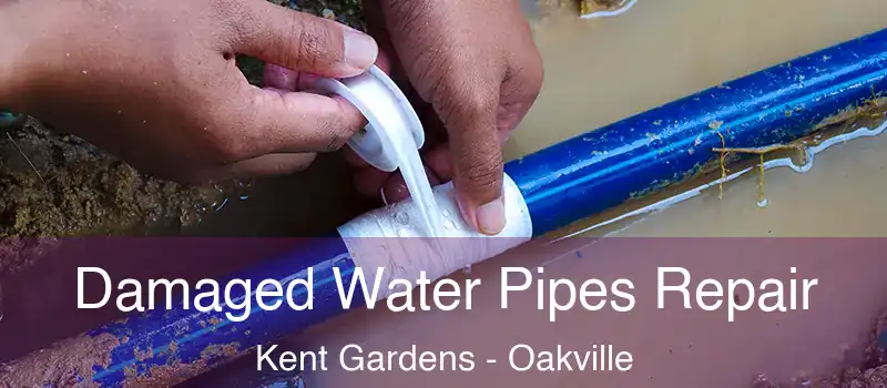  Damaged Water Pipes Repair Kent Gardens - Oakville
