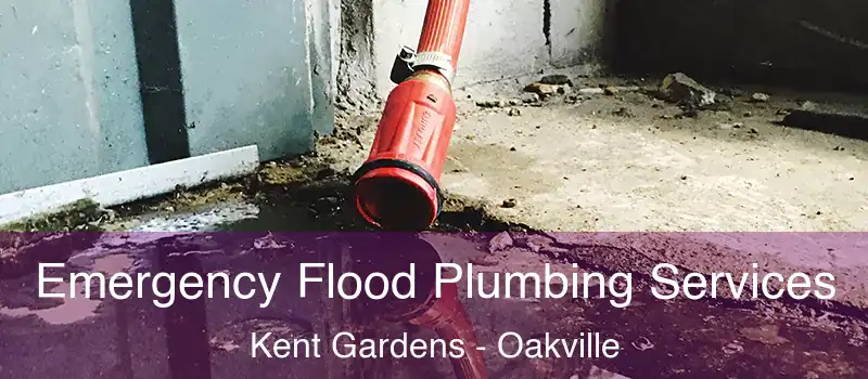  Emergency Flood Plumbing Services Kent Gardens - Oakville