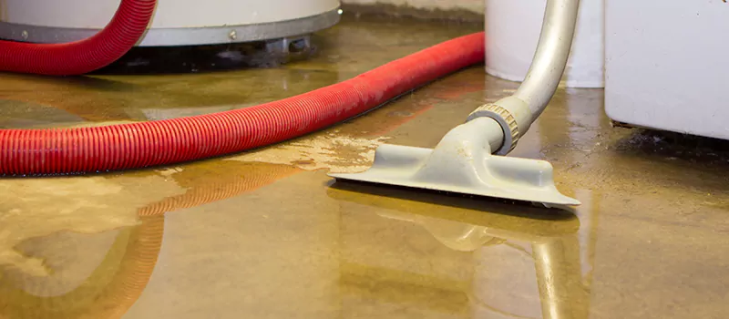 Professional Sewer Backup Cleanup Services in Kent Gardens, Oakville