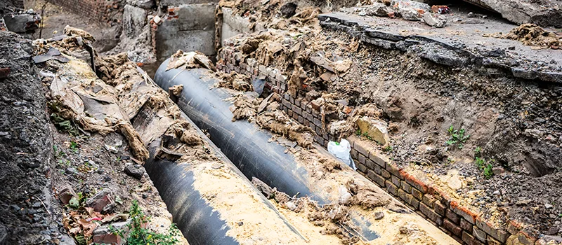 Commercial Sewer Tree Roots Damage Solutions in Kent Gardens, Oakville