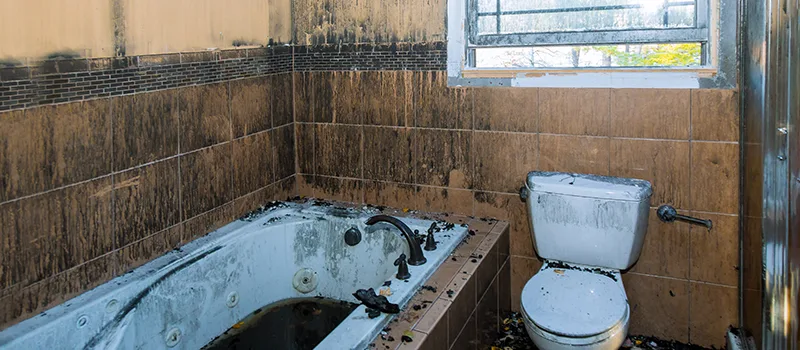 Residential Water Damage Restoration in Kent Gardens, Oakville