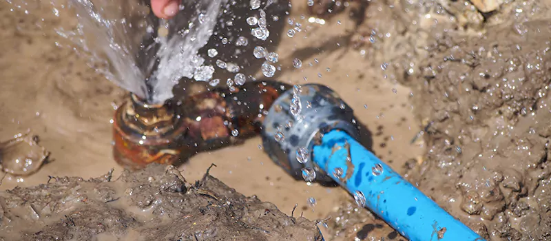 Reasons to Replace Your Lead Pipes in Kent Gardens, Oakville