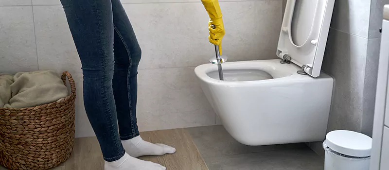 Toilet Flush Valve Installation Services in Kent Gardens, Oakville
