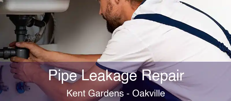  Pipe Leakage Repair Kent Gardens - Oakville