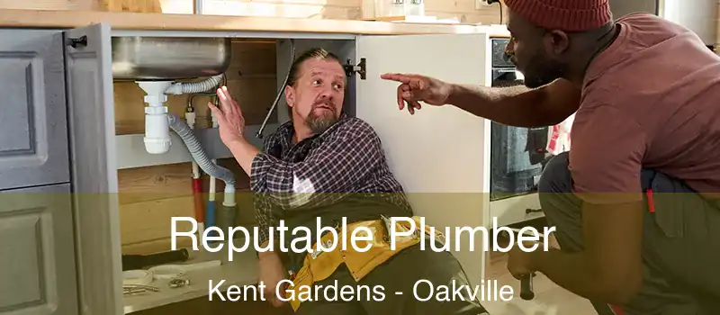  Reputable Plumber Kent Gardens - Oakville