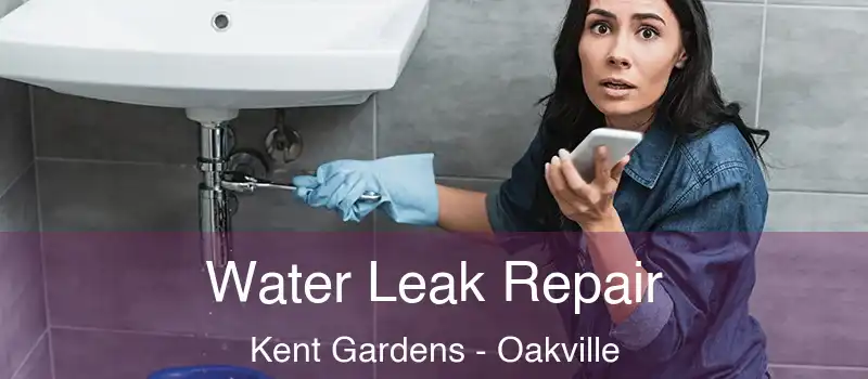  Water Leak Repair Kent Gardens - Oakville
