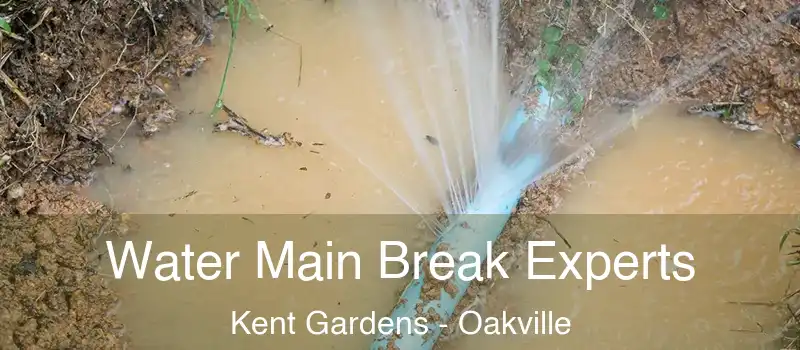  Water Main Break Experts Kent Gardens - Oakville