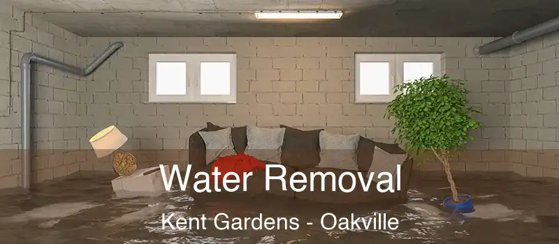  Water Removal Kent Gardens - Oakville
